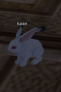 Bild:rabbit.jpg